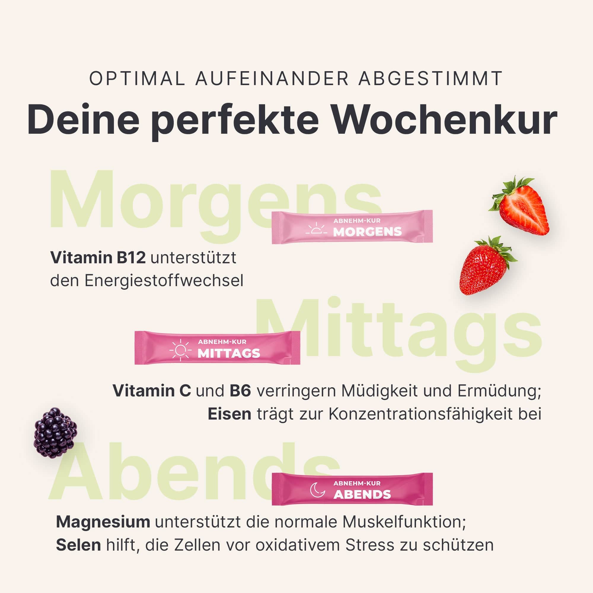 sheko-4-wochen-starter-set-balance-shake-abnehmkur-set image 8