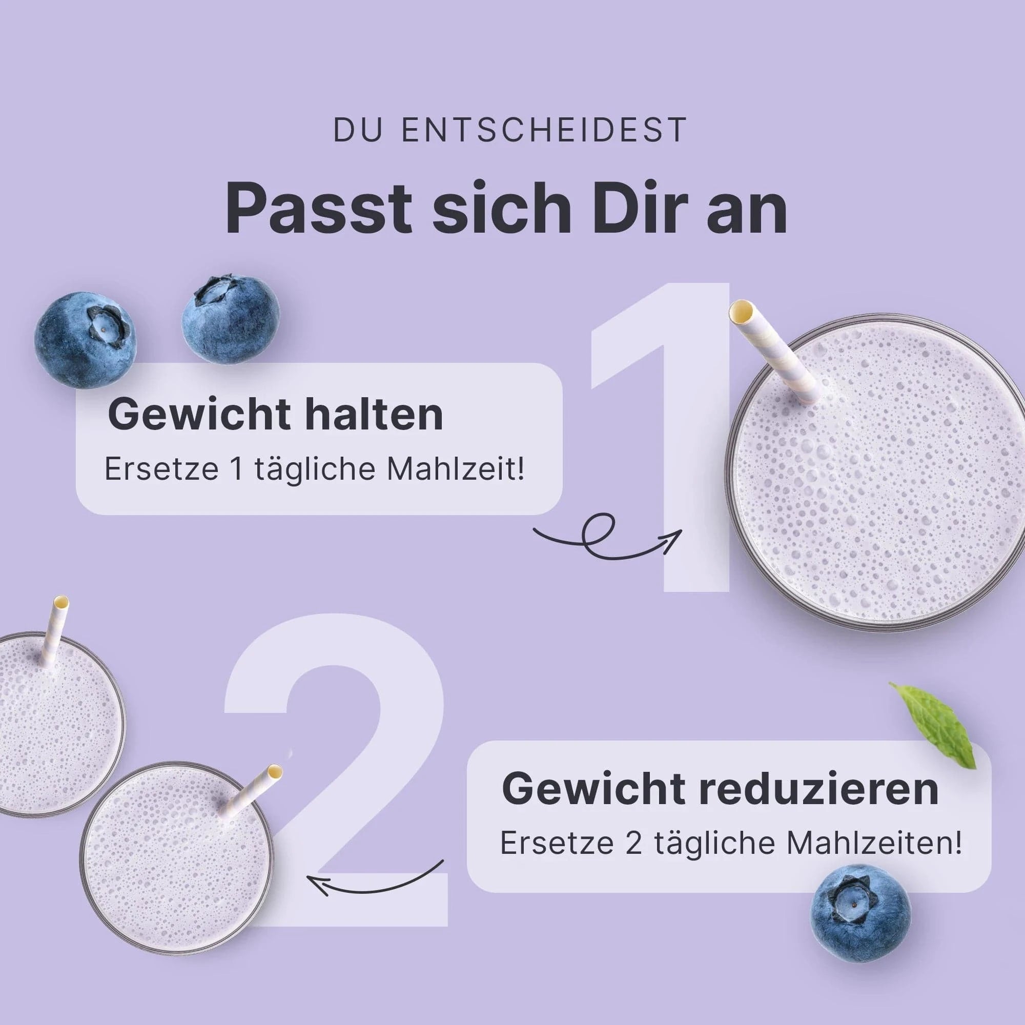 sheko-balance-shake-blaubeer-muffin-mahlzeitenersatz-shake-limited-edition image 4