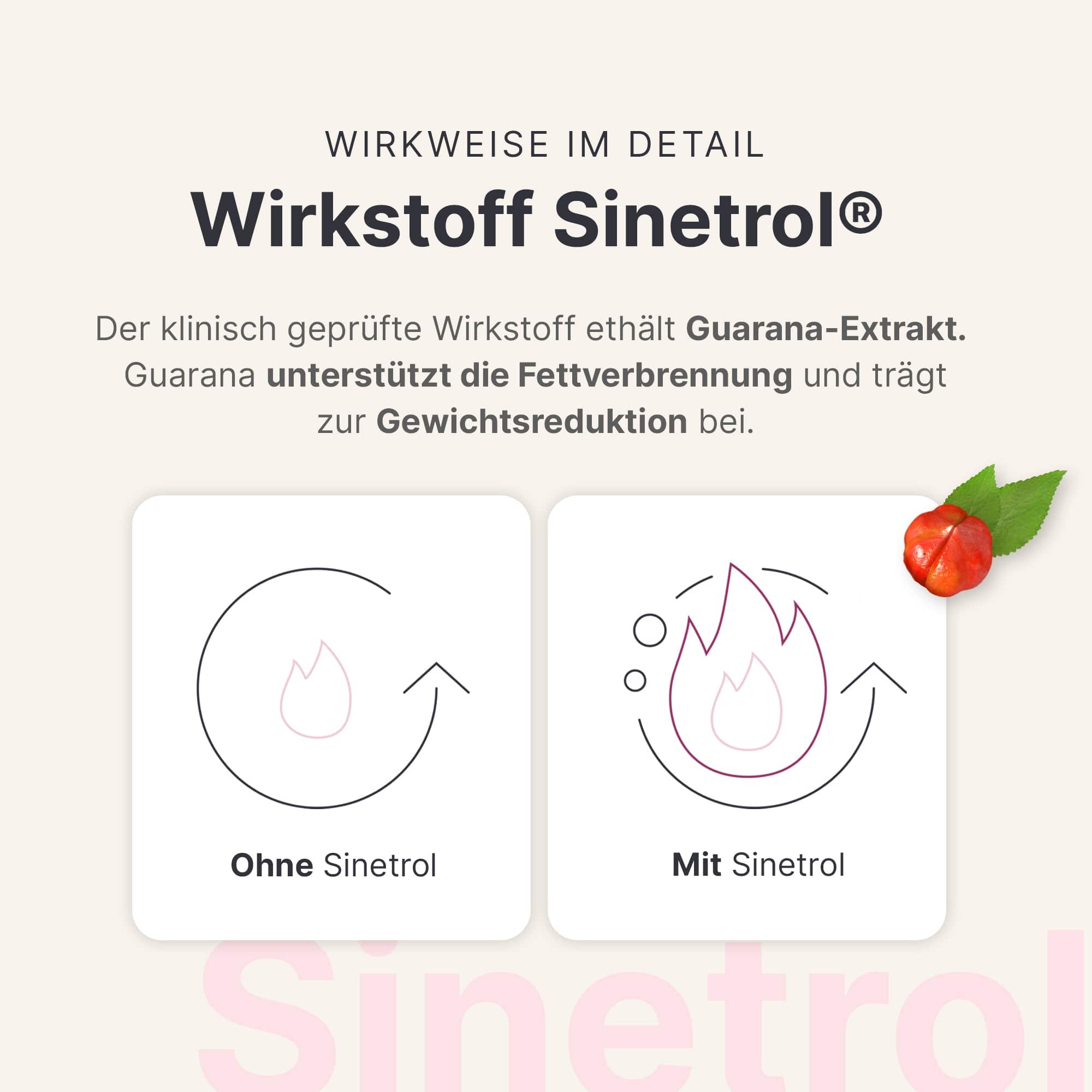 sheko-fettstoffwechsel-komplex-mit-sinetrol-guarana image 4