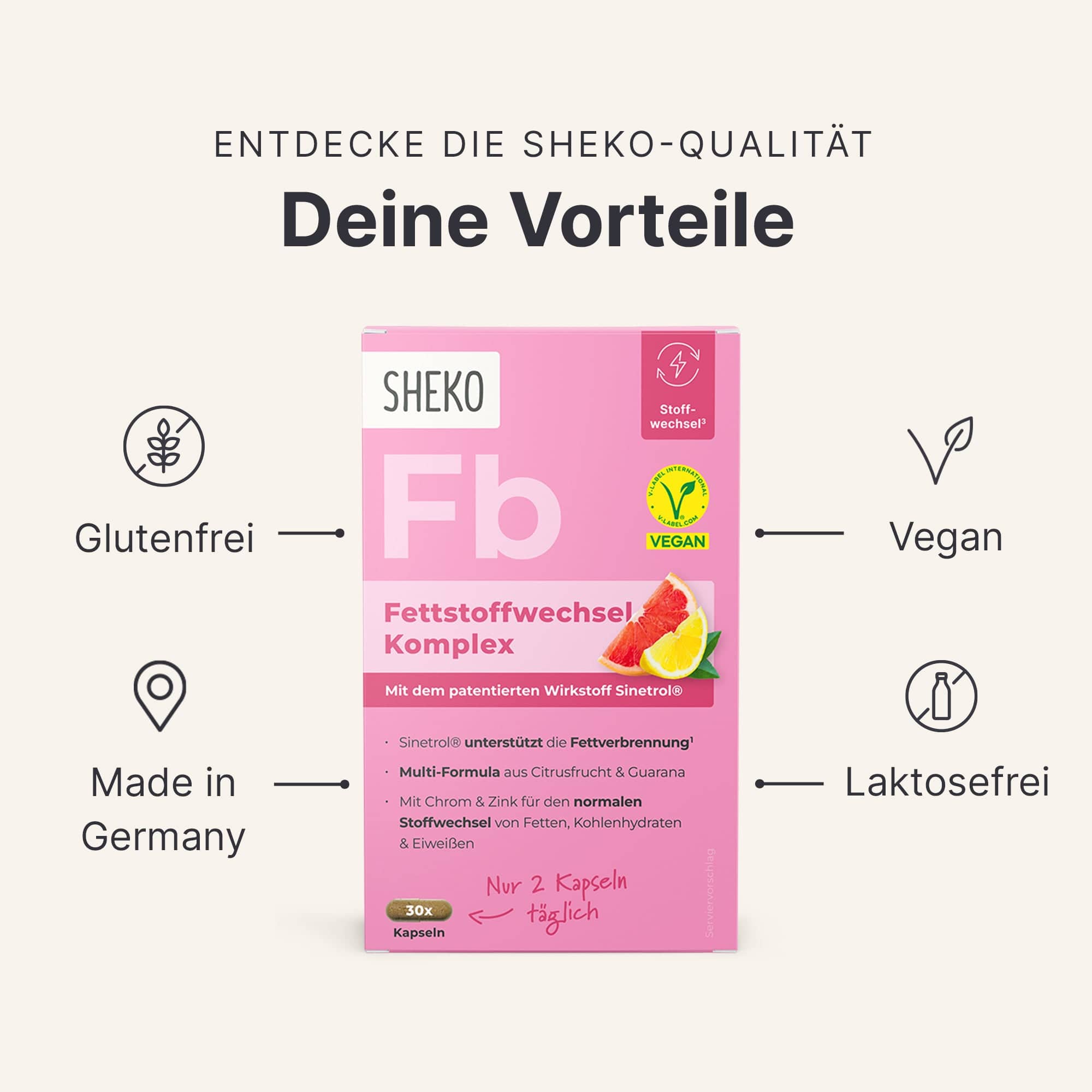 sheko-fettstoffwechsel-komplex-mit-sinetrol-guarana image 6