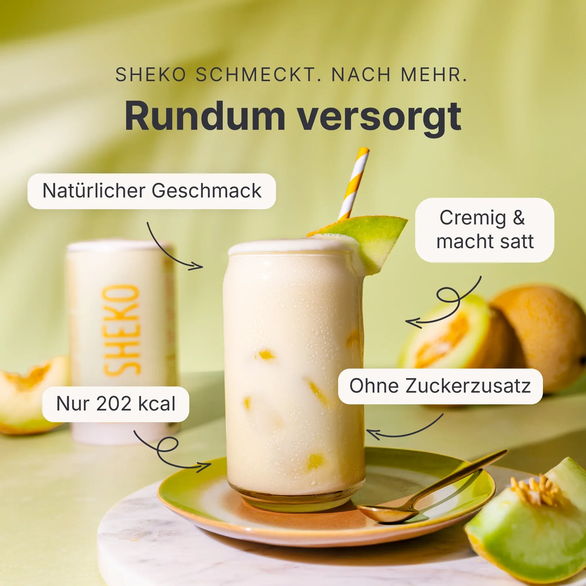 sheko-endless-summer-bundle-balance-shake-mehrfachpackung image 3