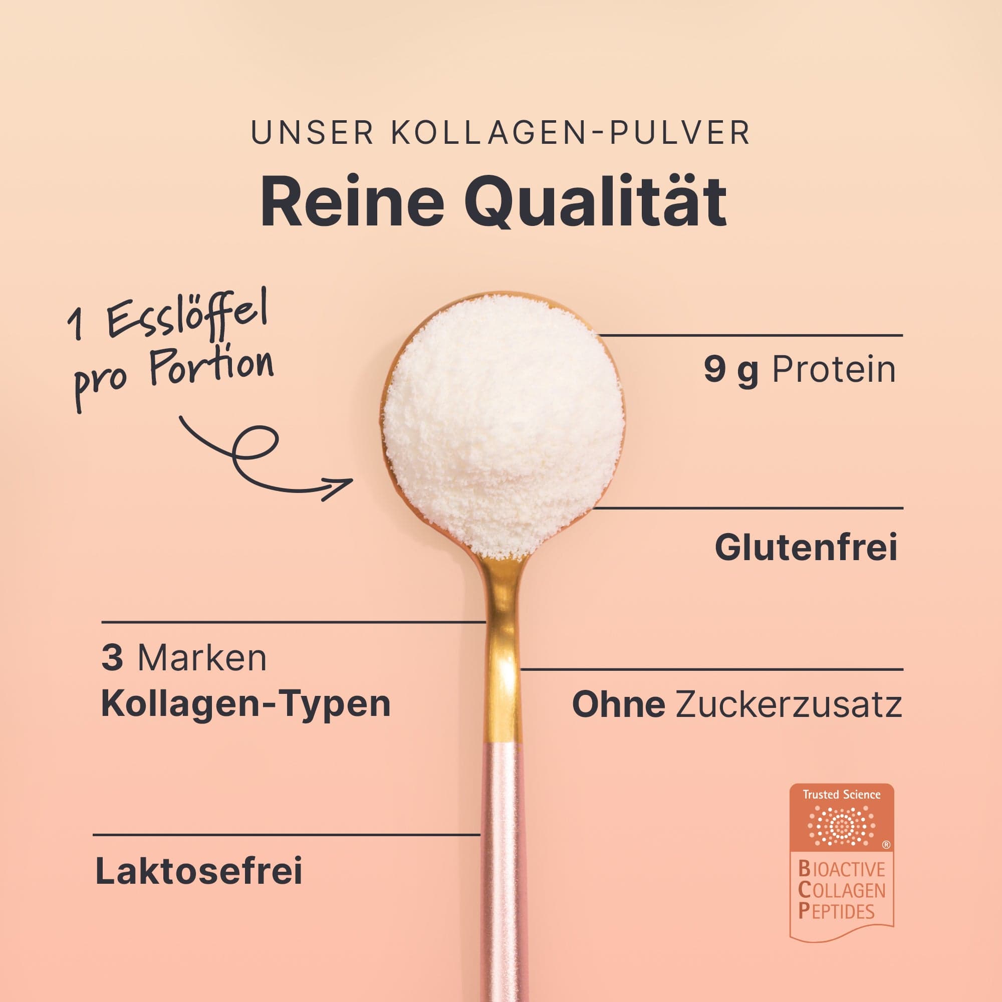 sheko-kollagen-travelset-10x15g-typ-i-ii-iii-neutral image 4