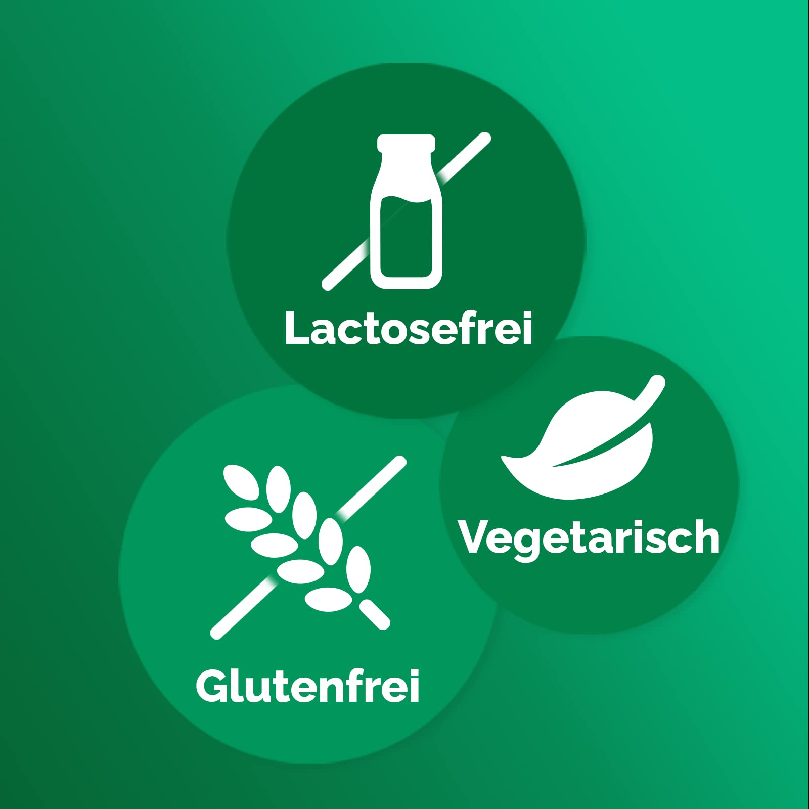 yokebe-vanille-starterpaket-di-tshake-500-g-shaker-12-portionen image 5