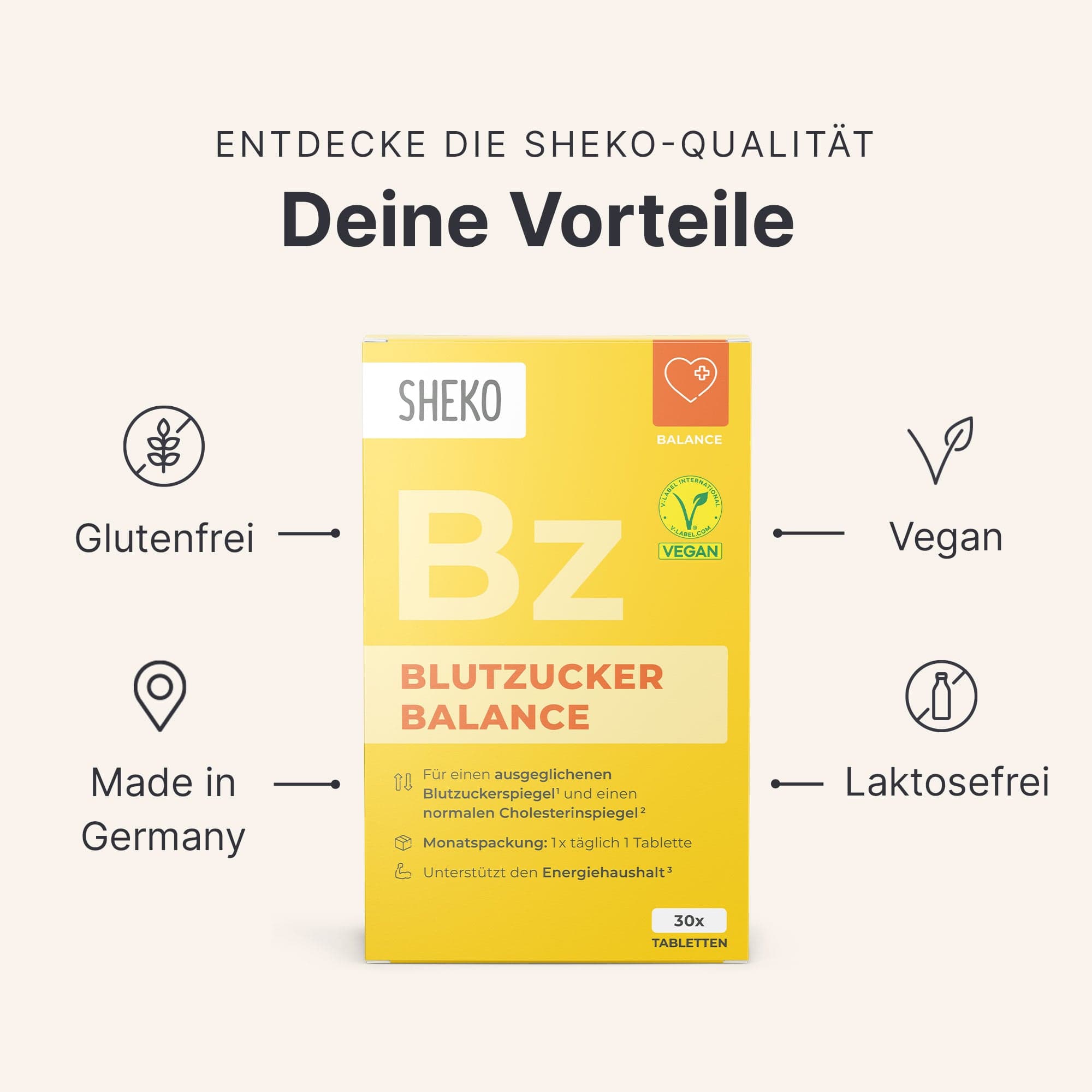 sheko-blutzucker-balance-tabletten-chrom-zimt image 3
