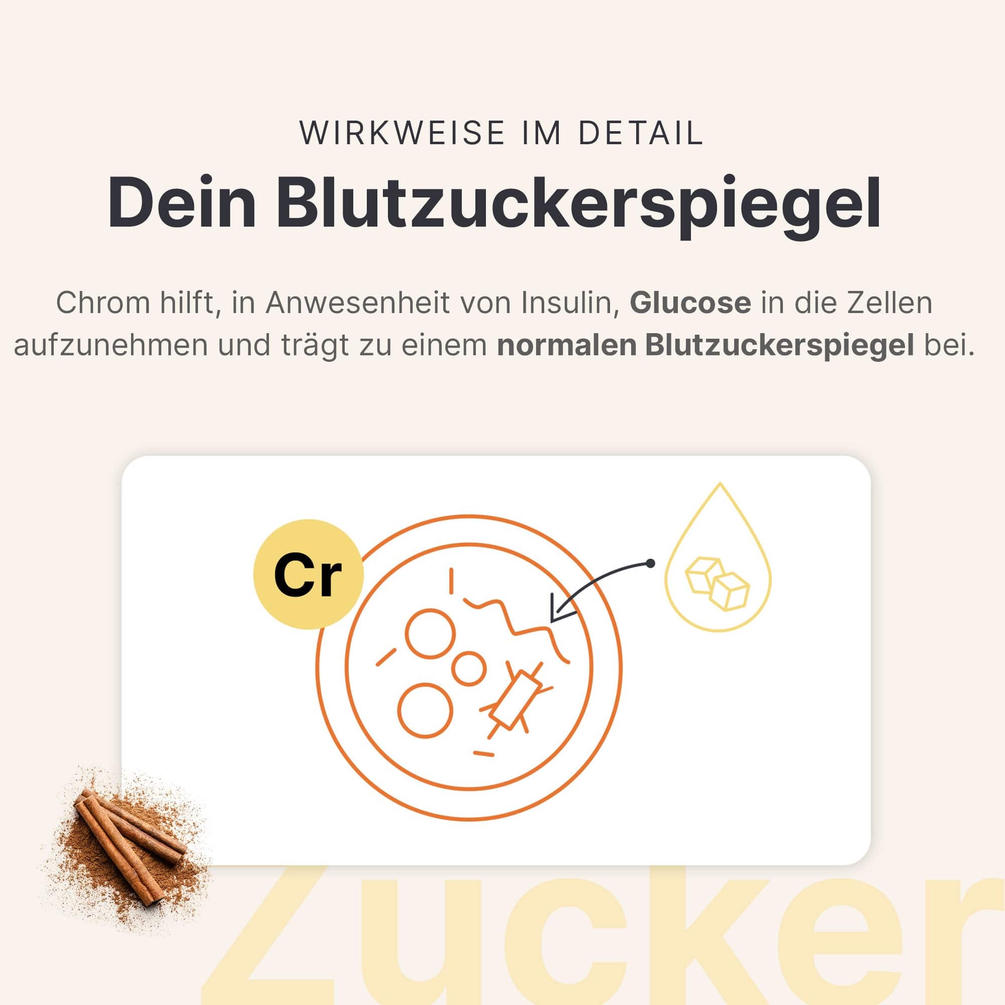 sheko-blutzucker-balance-tabletten-chrom-zimt image 5