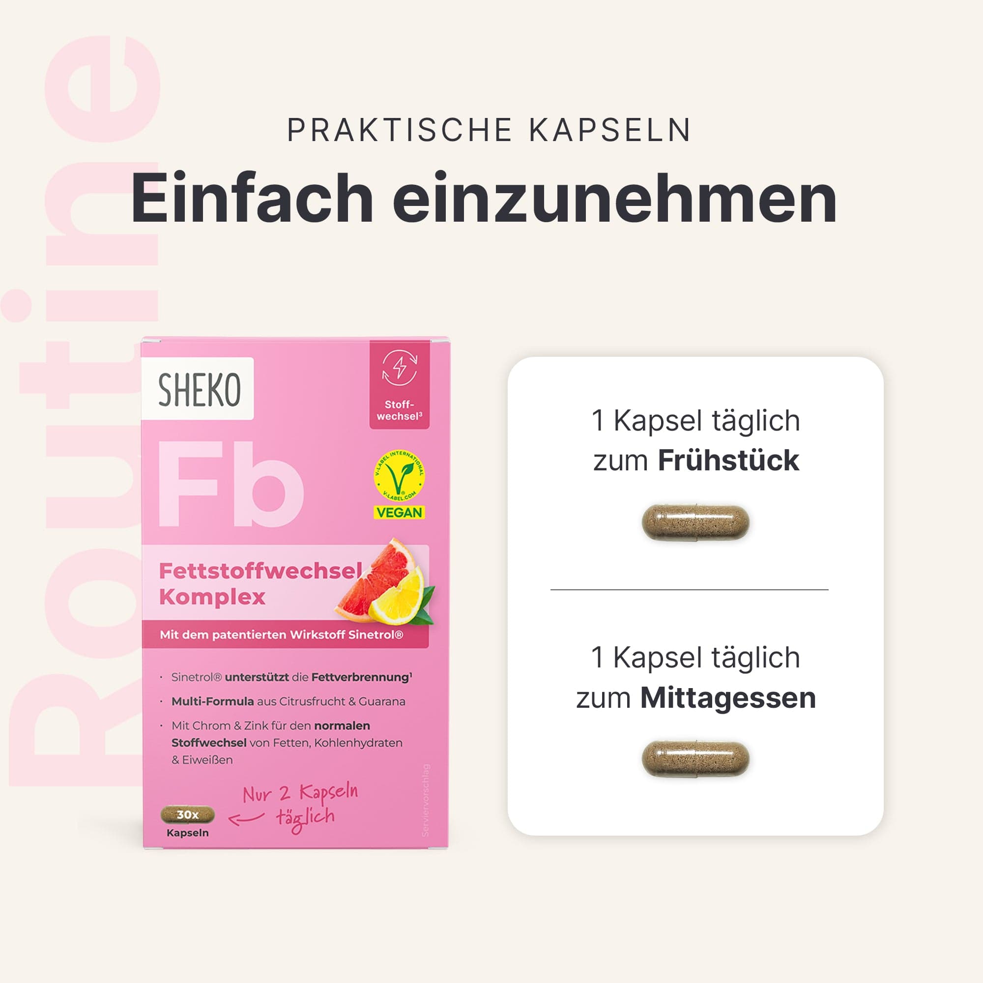 sheko-fettstoffwechsel-komplex-mit-sinetrol-guarana image 5