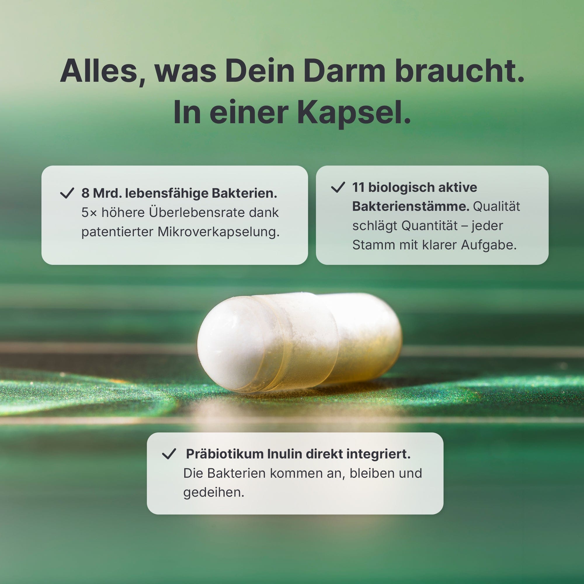 sheko-deep-glow-set-kollagen-aufnahme-kur image 3
