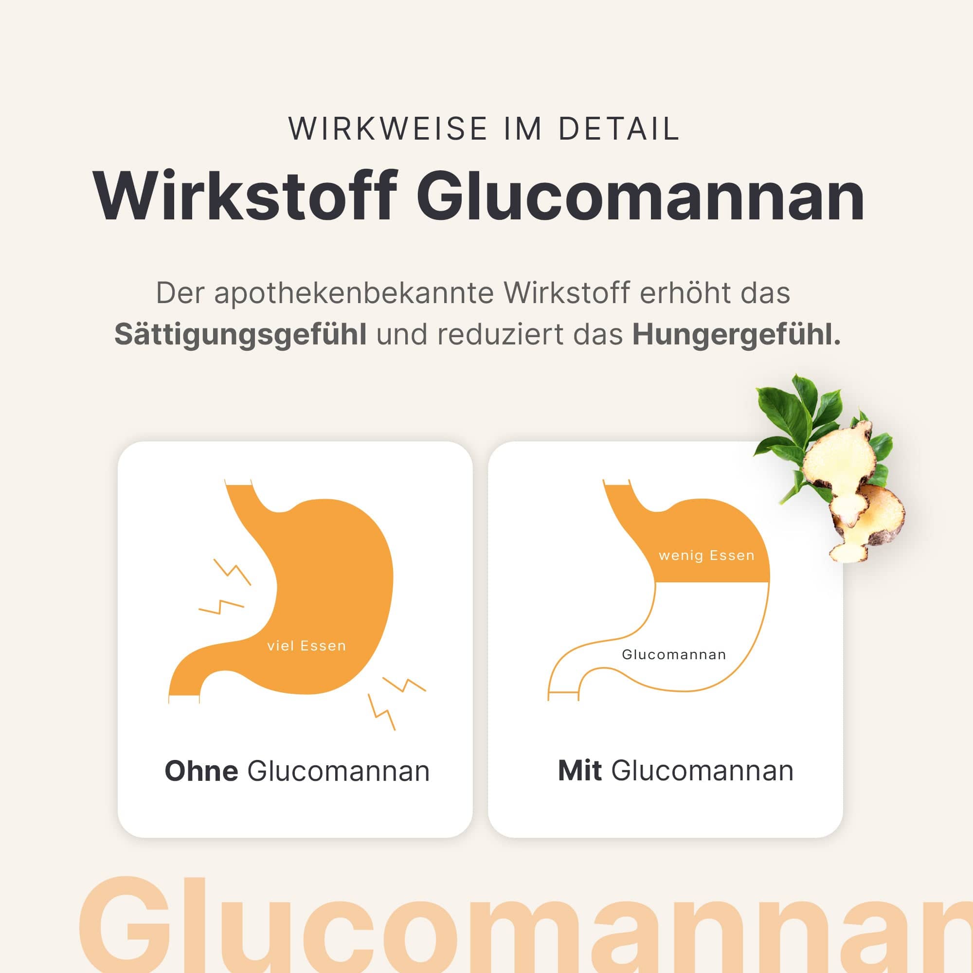 sheko-abnehmkur-tropical-glucomannan-sticks-mit-vitaminen image 5