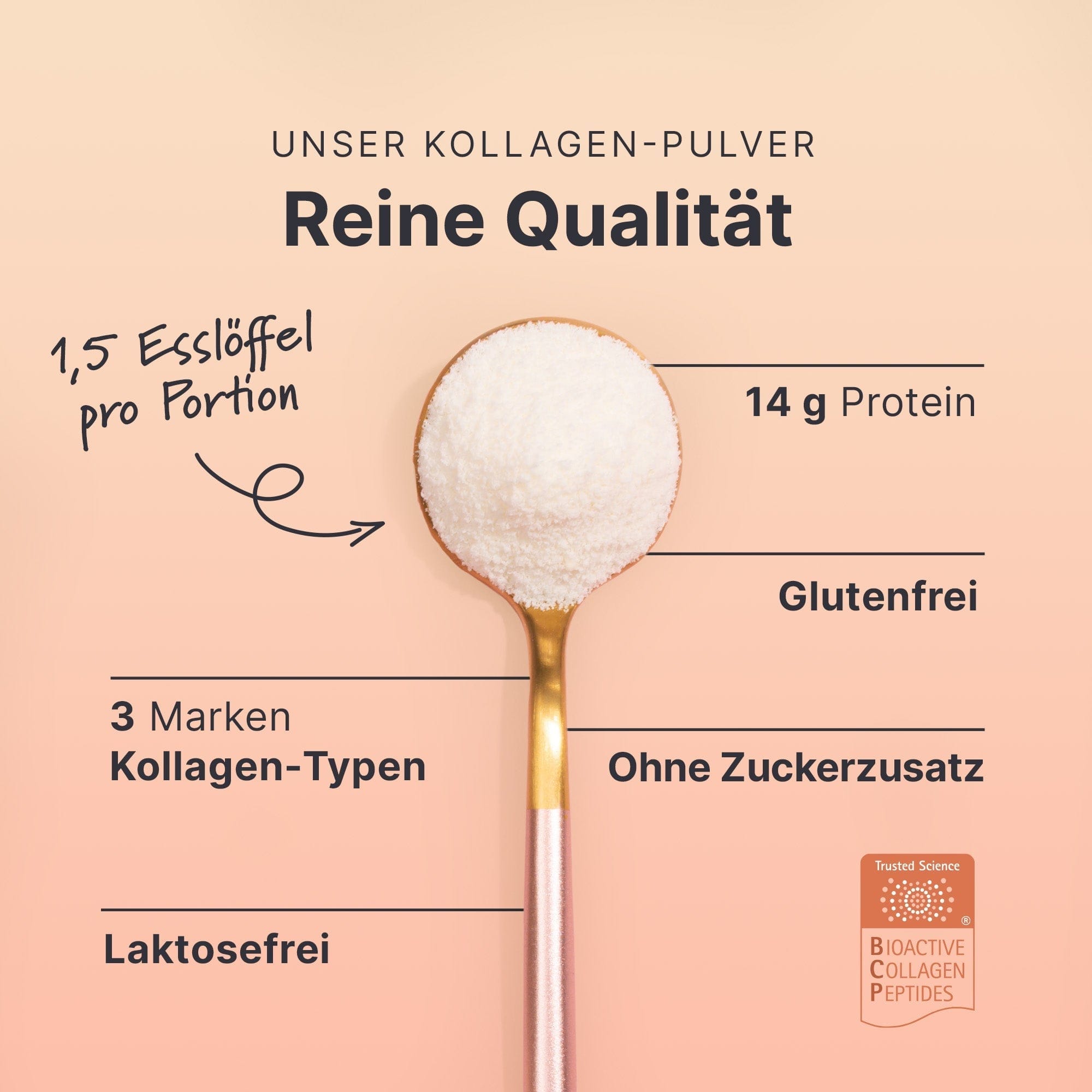 sheko-multi-kollagen-pulver-kollagen-typ-i-ii-iii image 4