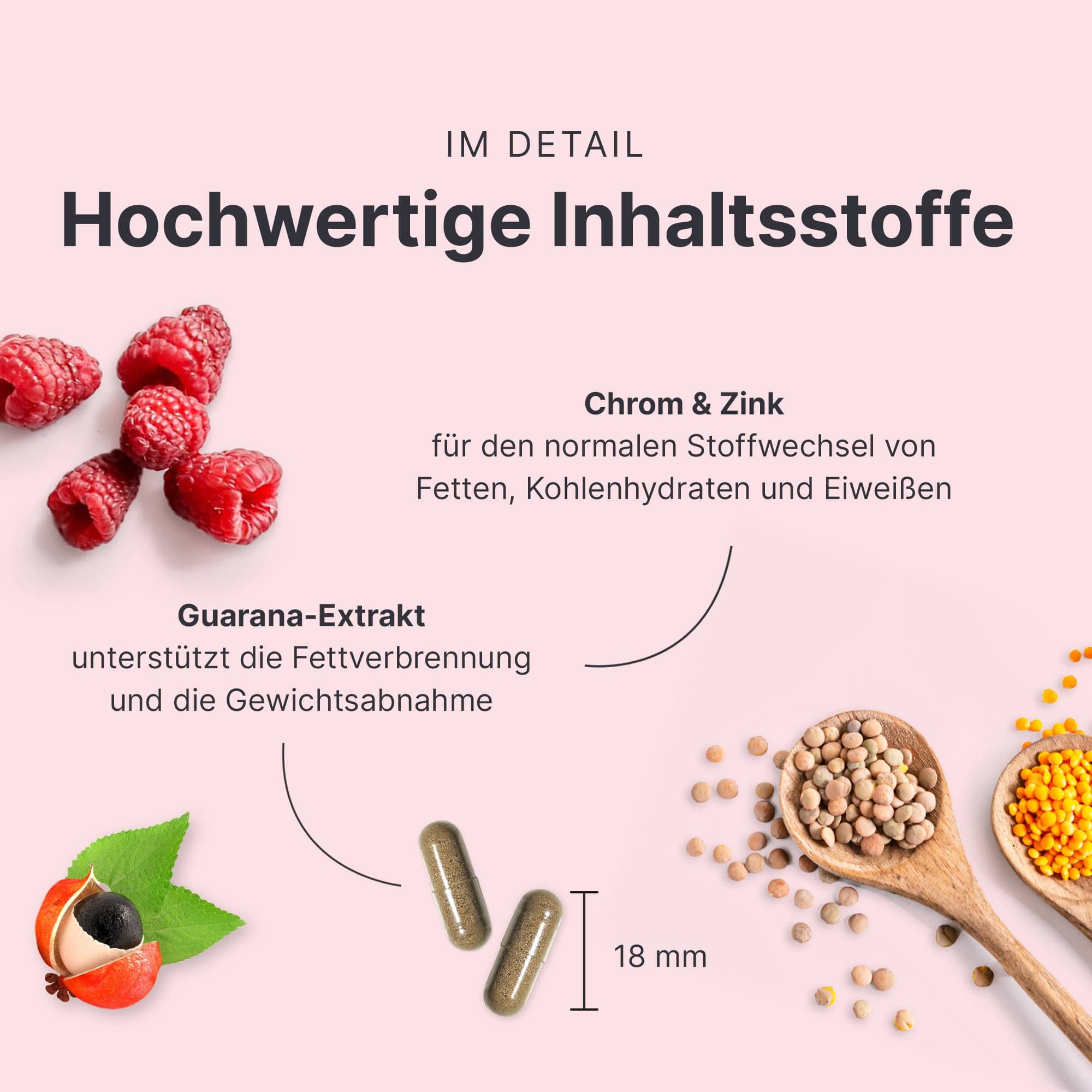 sheko-fettstoffwechsel-komplex-mit-sinetrol-guarana image 3